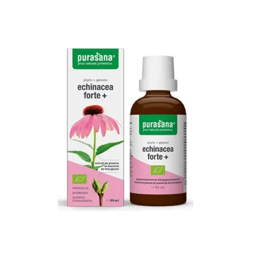 ECHINACEA FORTE (JEŻÓWKA PURPUROWA) KROPLE BIO 50 ml - PURASANA