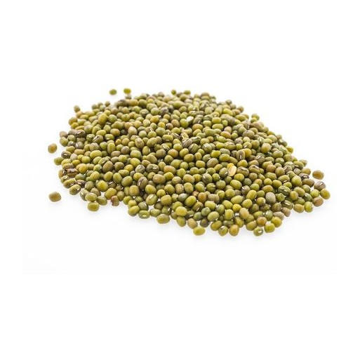 FASOLKA MUNG BIO (SUROWIEC) (25 kg) 5