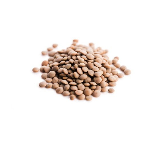 SOCZEWICA BRĄZOWA BIO (SUROWIEC) (25 kg) 6