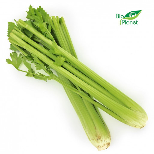 OPAKOWANIE ZBIORCZE (szt) - SELER NACIOWY ŚWIEŻY BIO (około 10 sztuk) OPAKOWANIE ZBIORCZE (szt) - SELER NACIOWY ŚWIEŻY BIO (około 10 sztuk)