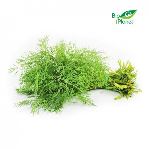 KOPER ŚWIEŻY (PĘCZEK) BIO (POLSKA) (około 35 g)