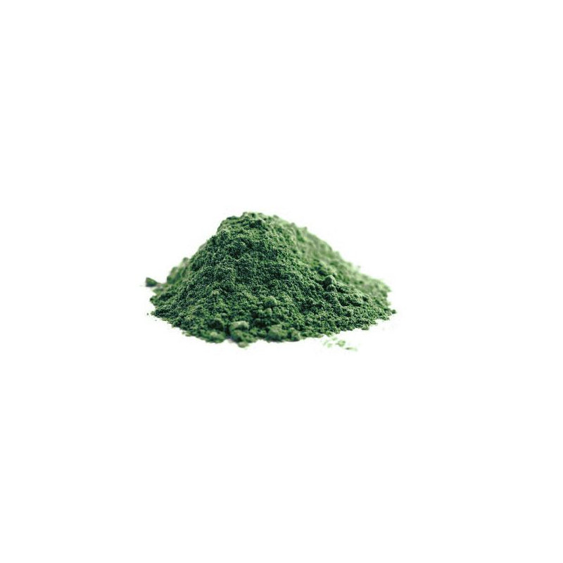 SPIRULINA W PROSZKU (GLONY) BIO (SUROWIEC) (20 kg) 4