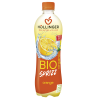 NAPÓJ GAZOWANY POMARAŃCZOWY BIO 500 ml - HOLLINGER