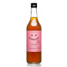 KOMBUCHA TRUSKAWKOWA BIO 500 ml - DELIKATNA (ZAKWASOWNIA)