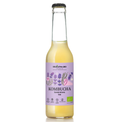 KOMBUCHA LAWENDOWA BIO 270 ml - DELIKATNA (ZAKWASOWNIA)