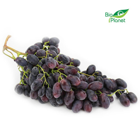 WINOGRONA CZERWONE ŚWIEŻE BIO (około 0,50 kg) WINOGRONA CZERWONE ŚWIEŻE BIO (około 0,50 kg)