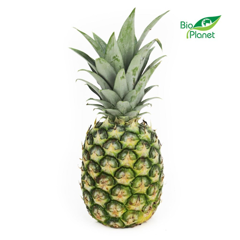 OPAKOWANIE ZBIORCZE (szt) - ANANAS ŚWIEŻY BIO (około 10 sztuk)