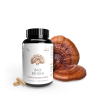 GRZYBY REISHI (LAKOWNICA LŚNIĄCA) BIO (500 mg) 100 KAPSUŁEK - PILZE WOHLRAB