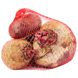 BURAK CZERWONY ŚWIEŻY BIO (około 1,00 kg)