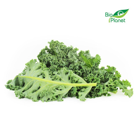 JARMUŻ ŚWIEŻY NIEMYTY BIO (POLSKA) (około 0,25 kg) JARMUŻ ŚWIEŻY NIEMYTY BIO (POLSKA) (około 0,25 kg)