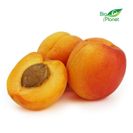 MORELE ŚWIEŻE BIO (około 0,50 kg) MORELE ŚWIEŻE BIO (około 0,50 kg)