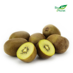 OPAKOWANIE ZBIORCZE (kg) - KIWI ŻÓŁTE ŚWIEŻE BIO (około 5,5 kg)