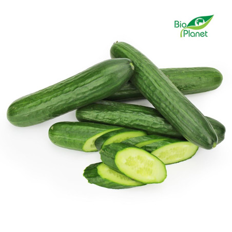 OGÓREK DŁUGI ŚWIEŻY BIO (POLSKA) (około 0,50 kg) OGÓREK DŁUGI ŚWIEŻY BIO (POLSKA) (około 0,50 kg)