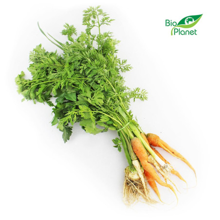 WŁOSZCZYZNA PĘCZEK ŚWIEŻA BIO (POLSKA) (około 0,50 kg)