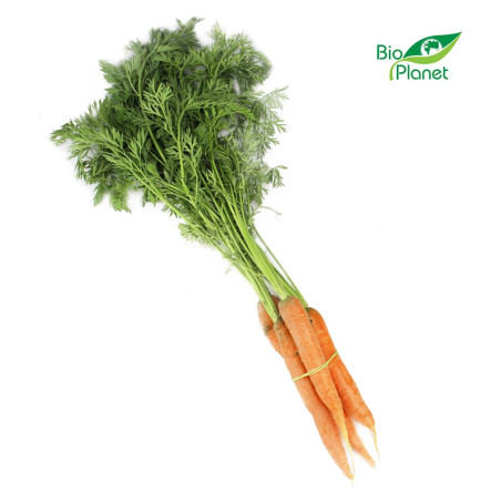 MARCHEW MŁODA Z NATKĄ ŚWIEŻA BIO (POLSKA) (około 0,50 kg) MARCHEW MŁODA Z NATKĄ ŚWIEŻA BIO (POLSKA) (około 0,50 kg)
