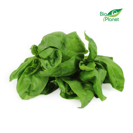 BAZYLIA ŚWIEŻA BIO (POLSKA) (około 50 g) BAZYLIA ŚWIEŻA BIO (POLSKA) (około 50 g)