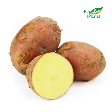 ZIEMNIAKI CZERWONE MŁODE ŚWIEŻE BIO (POLSKA) (około 2,00 kg) ZIEMNIAKI CZERWONE MŁODE ŚWIEŻE BIO (POLSKA) (około 2,00 kg)