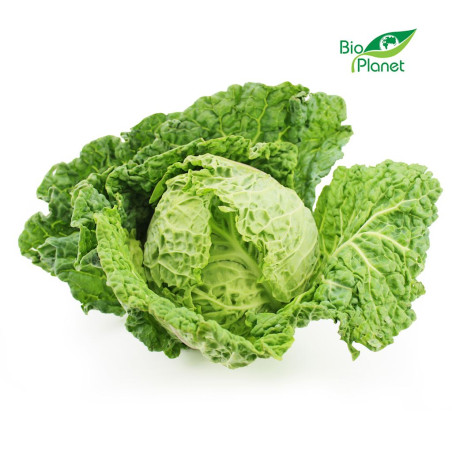 KAPUSTA WŁOSKA ŚWIEŻA BIO (POLSKA) (około 0,80 kg)
