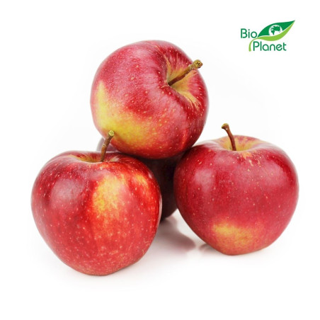 OPAKOWANIE ZBIORCZE (kg) - JABŁKA ŚWIEŻE BIO (INORED) (około 8 kg)