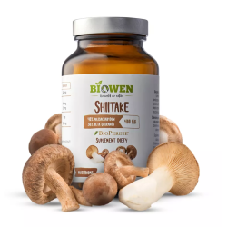 GRZYBY SHIITAKE EKSTRAKT (400 mg) BEZGLUTENOWY 90 KAPSUŁEK - HEMPKING (BIOWEN)