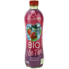 NAPÓJ ICE TEA O SMAKU OWOCÓW LEŚNYCH BIO 500 ml - HOLLINGER