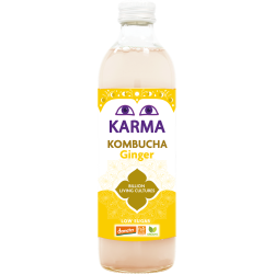 KOMBUCHA Z IMBIREM NISKA ZAWARTOŚĆ CUKRÓW FAIR FOR LIFE DEMETER BIO 500 ml - KARMA KOMBUCHA