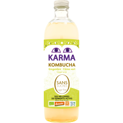 KOMBUCHA Z IMBIREM I LIMONKĄ BEZ CUKRU FAIR FOR LIFE DEMETER BIO 750 ml - KARMA KOMBUCHA