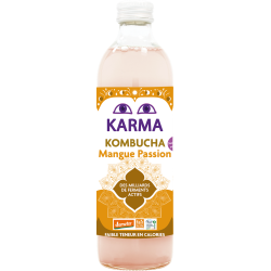 KOMBUCHA Z MANGO NISKA ZAWARTOŚĆ CUKRÓW FAIR FOR LIFE DEMETER BIO 500 ml - KARMA KOMBUCHA