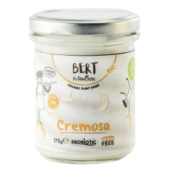 WEGAŃSKA ALTERNATYWA DLA ŚMIETANY Z NERKOWCÓW  BIO 170 g - BERT