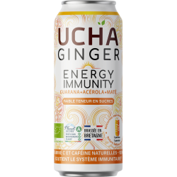 NAPÓJ Z YERBA MATE I GUARANĄ FAIR FOR LIFE BIO 330 ml - UCHA