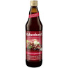 SOK WIELOOWOCOWY NFC ANTYOKSYDANT BIO 750 ml - RABENHORST