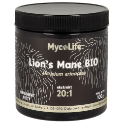GRZYBY SOPLÓWKA JEŻOWATA (LION'S MANE) EKSTRAKT BEZGLUTENOWY BIO 100 g - PIĘĆ PRZEMIAN
