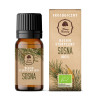OLEJEK ETERYCZNY SOSNA BIO 10 ml - DARY NATURY
